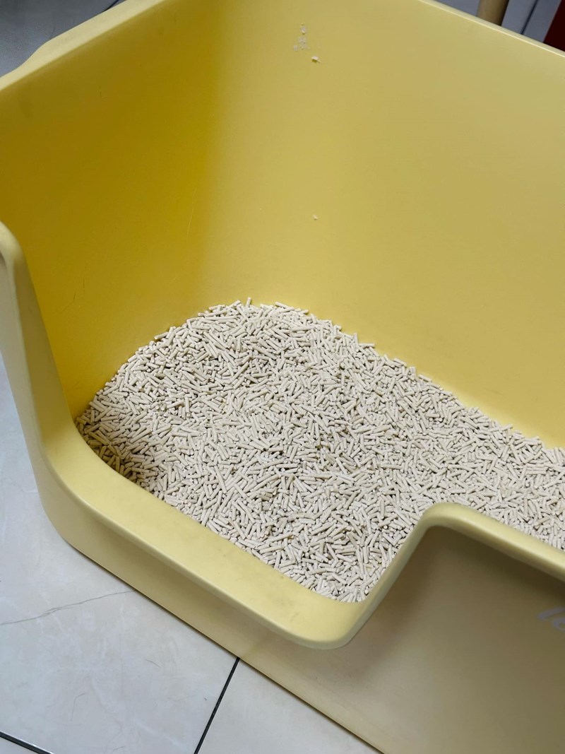 女人知己試用大隊,口碑行銷,部落客行銷,PurreLand 倍淨豆腐貓砂,好市多購買,COSTCO購買,豆腐貓砂,PurreLand倍淨,低粉塵,易清理,可沖馬桶,提供絕佳的除臭與凝結力,豆腐貓砂評價,貓砂評價,使用心得,貓砂分享,好用,原味,綠茶,豆腐砂,水量需完全覆蓋貓砂,水量需貓砂的2~3倍以上,豆腐砂評價,高CP值,划算